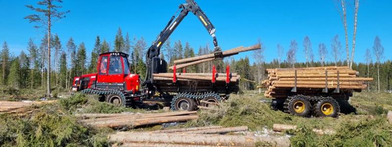 Stora Enso planerar att samla sina omfattande skogstillgångar i ett nytt bolag som väntas knoppas av från koncernen 2027. Foto: Stora Enso