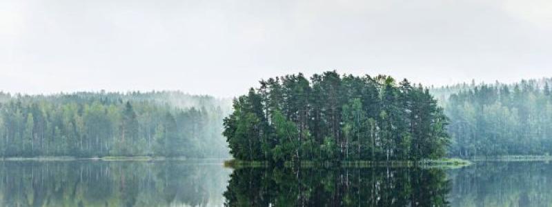 Stora Enso meddelar att de åtar sig att uppnå nettonollutsläpp av koldioxid år 2040 genom att underteckna The Climate Pledge. Foto: Stora Enso