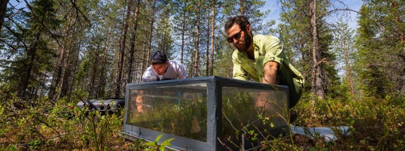 Forskare mäter koldioxidflödet från mark i en ungskog. Bild: Andreas Palmén/Paper Province