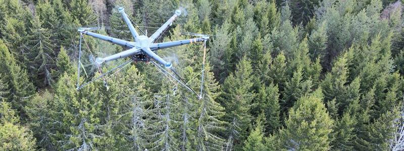 Tekniken innebär att gallring genomförs utan markkontakt, där varje träd flygs ut till väg för vidare transport till kunden. Foto: Sveaskog