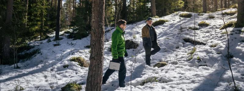 UPM:s egna skogar ska fungera som forskningsområden och pilotplatser, vilket gör det möjligt att snabbt testa resultaten i praktiskt skogsbruk. Projektet startar våren 2026 och löper över fyra år. Foto: UPM