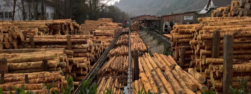 Det är andra gången i år som Mellanskog justerar ned priserna. Senast skedde en sänkning i februari. Sedan hösten 2025 har bolaget därmed sänkt virkespriserna vid fem tillfällen. Symbolfoto: Creative Commons Lic, Kredit NCornwall