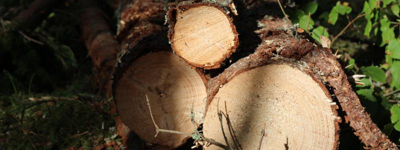 Foto: Valmet