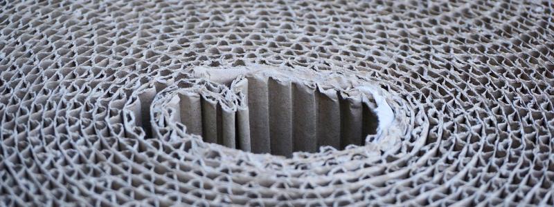 Överkapacitet inom skogsindustrin innebär att produktionen överstiger efterfrågan, vilket pressar priser och lönsamhet. Samtidigt påverkas sektorn starkt av energikostnader och handelspolitik, vilket gör förpackningsmarknaden särskilt känslig för globala förändringar. Foto: Creative Commons Lic. Kredit: Webandi