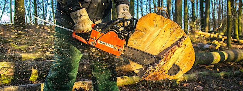 Massamarknaden uppvisar en något stabilare utveckling. Produktionen av långfibrig marknadsmassa väntas öka något i år, även om kapacitetsutnyttjandet i Finland är lågt på grund av driftsbegränsningar och tillfälliga permitteringar. Symbolbild: Creative Commons Lic. Kredit: Erich r.g.