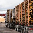 Pappersproduktion i Europa pressas av höga energikostnader. Samtidigt bygger flera asiatiska företag nya fabriker som riskerar skapa global överkapacitet. Foto: Stora Enso.