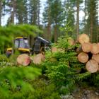 Markens bärighet blir en prissättningsfaktor för virkeshandeln vid alla Metsä Groups rotköp. Foto: Metsä Group