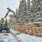Ett ”utmanande marknadsläge" får Sveaskog att sänka virkespriserna för sina kunder. Foto: Sveaskog