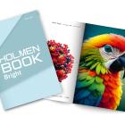 Papperet har hög opacitet, vilket i kombination med hög vithet ”säkerställer utmärkt läsbarhet och bildreproduktion i hög tryckkvalitet för lägre ytvikter”, enligt Holmen. Bild: Holmen