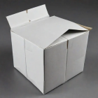 Bild: AI-genererad bild. Inte ett fotografi.
Copyright © Conventus – AI-genererat innehåll. Inget av materialet får reproduceras eller användas i andra sammanhang utan skriftligt tillstånd.