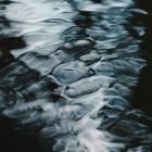 Derome Timber AB yrkar att tillståndet ska få tas i anspråk omedelbart även om det överklagas. Foto: niranjan/Unsplash