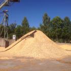 Råvaran består av restströmmar från sågverk, där färskt sågspån matas direkt in i processen. Foto: Simon Matthis