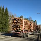 En central fråga i rapporten är hur klimatet påverkas av ett minskat skogsbruk. Enligt analysen ökar visserligen kolinlagringen i skogen visserligen på kort sikt när mindre virke avverkas. På längre sikt minskar däremot skogens tillväxt. Foto: Simon Matthis