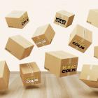 King Colis köper paketen i stora volymer från logistikföretag som hanterar leveranser åt europeiska nätbutiker. Foto: King Colis