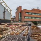 Det ser bättre ut för Finlands sågverkssektor just nu. Bilden visar Koskisens sågverk och huvudkontor i Finland. Foto: Koskisen Oyj