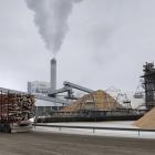 Finländsk skogsindustri och forskningsinstitut ser möjligheter att göra affärer av koldioxidutsläpp från massa- och bioenergianläggningar. Foto: Metsäteollisuusliitto. Kredit: Luke.