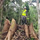 Näräkkä berättade om sina erfarenheter från en resa i Brasilien, där han deltog i ett internationellt styrelsemöte i São Paulo och därefter besökte regnskogsområden i västra delen av landet. Foto: Metsä Group