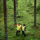 Metsä Group har utvecklat en applikation som använder öppna geodata och AI för att bedöma skogliga uppgifter. Med hjälp av applikationen kan de bestånds- och avverkningsområdesdata som behövs för virkesaffärer uppskattas tillförlitligt, till och med utan fältbesök. Foto: Metsä Group