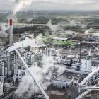 Vid Södra Cell Värö har flera piloförsök genomförts med havreskalen med ”mycket positiva resultat”, enligt Södra. Foto: Per Pixel/Södra