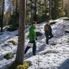 UPM:s egna skogar ska fungera som forskningsområden och pilotplatser, vilket gör det möjligt att snabbt testa resultaten i praktiskt skogsbruk. Projektet startar våren 2026 och löper över fyra år. Foto: UPM