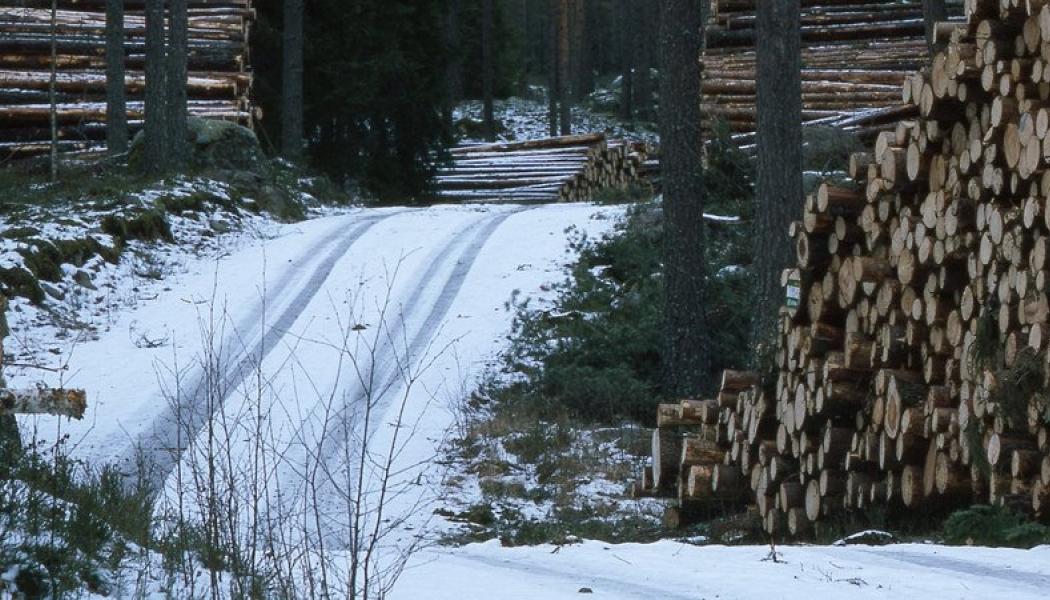 Photo: Södra