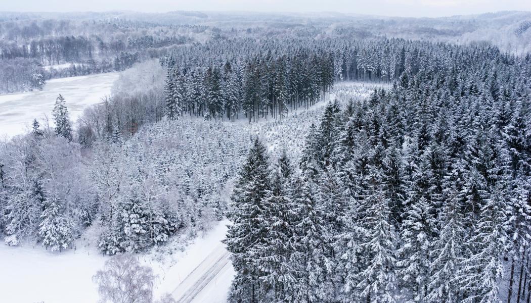 Foto: Södra