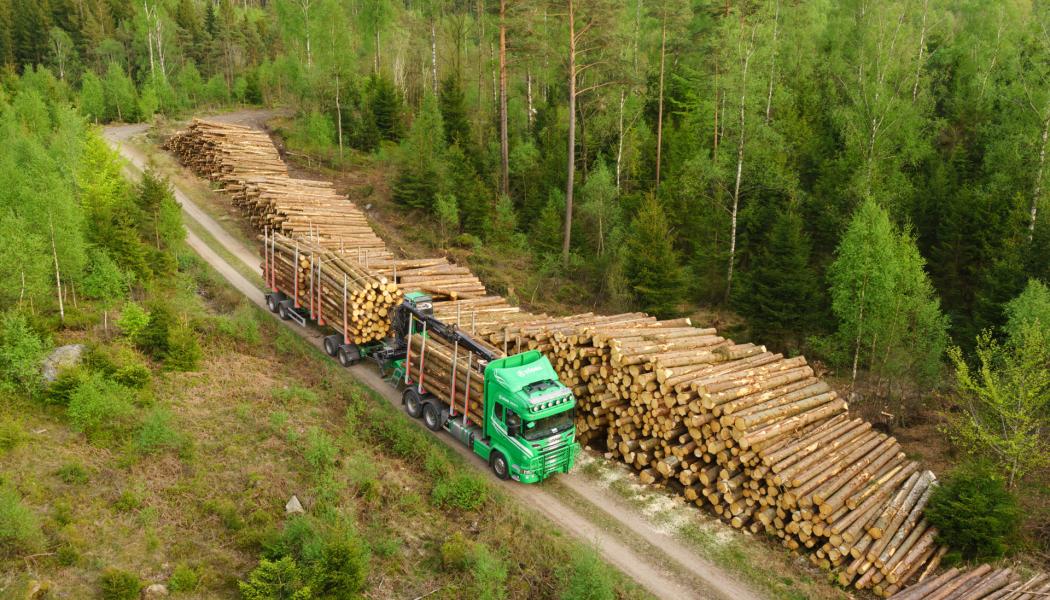 Foto: Södra/Anders Andersson