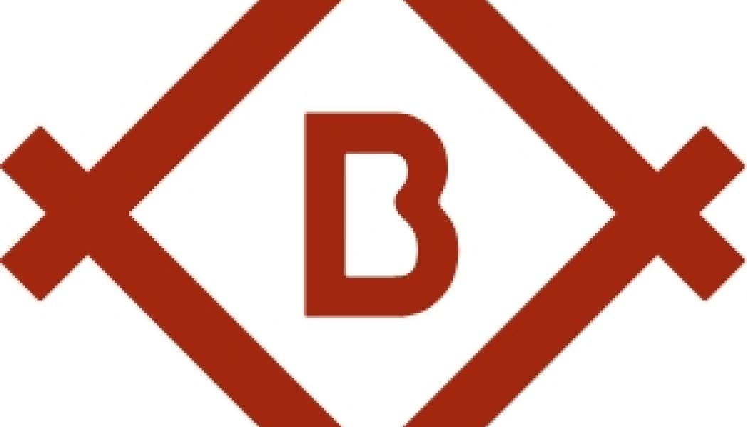 Bergslagets Skogars logotyp. Bild: Stora Enso