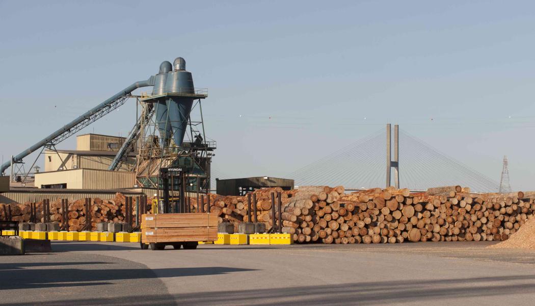 Sågverket i Philomath, som producerar både kilntorkat och grönt virke av Hemlock och Douglasgran, har en årlig kapacitet på 220 miljoner fot. Foto: Interfor