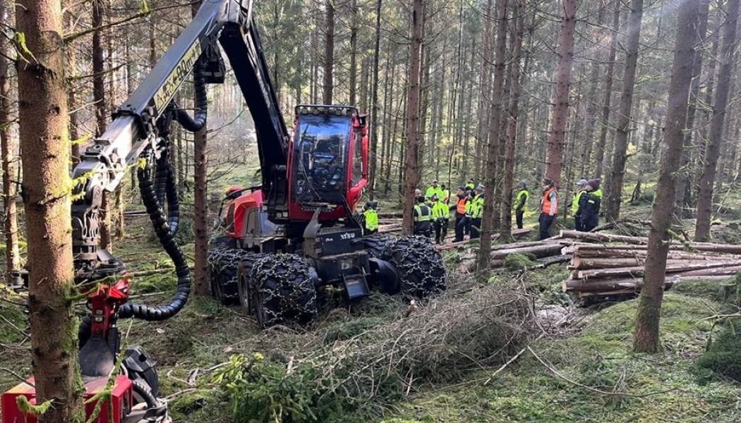 Enligt Södra ger förarstödet ”revolutionerande möjligheter för lokala anpassningar i skogen”, vilket gör det enklare att utföra skogsskötseln korrekt och därmed främja tillväxt och ökad lönsamhet. Foto: NFA