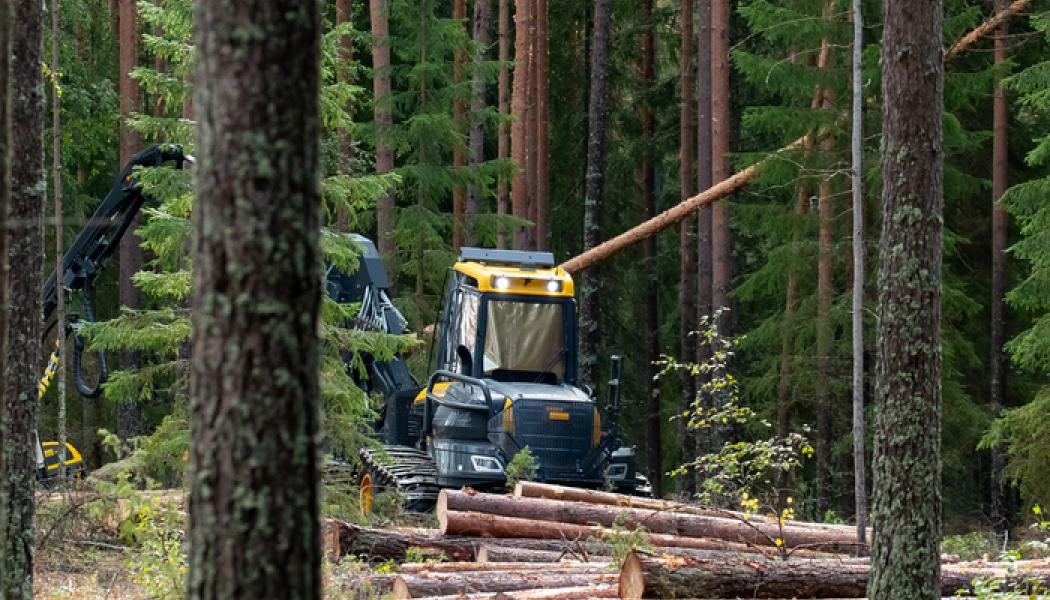 Foto: Metsä Group