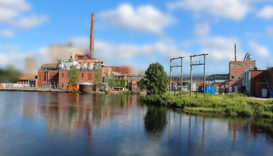 Rapporten lyfter fram de samhällsekonomiska kostnaderna av att ta skogsmark ur produktion. Hur Sverige väljer att implementera exempelvis naturrestaureringsförordningen kan ”få långtgående konsekvenser när det gäller sysselsättning, regional utveckling, export och skatteintäkter”, slår rapporten fast. 