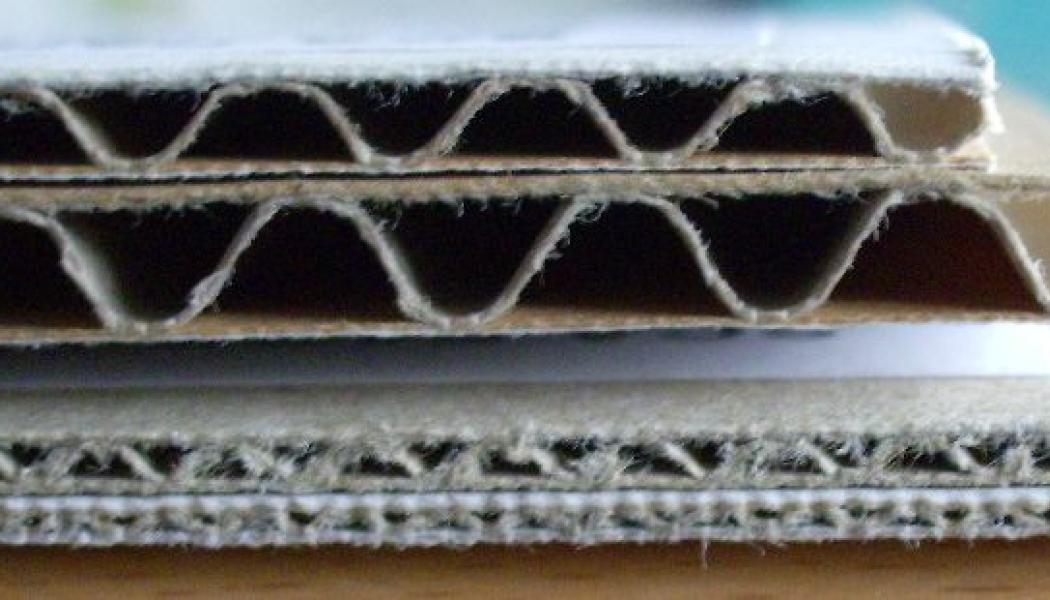 Wellpapp. Den polska marknaden för wellråvara har visat en stabil utveckling trots ekonomisk osäkerhet i Europa. Efterfrågan på förpackningsmaterial hålls uppe av e-handel, logistik och livsmedelsindustrin, vilket ger stöd åt pappersproducenterna. Foto: Wikipedia Common Lic. kredit: Pjetter