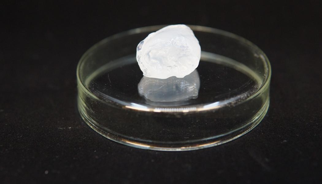 FineCell har tagit fram en hydrogel av sulfatmassa från barrved. Hydrogelen har egenskapen att den är väldigt tixotrop, vilket har flera fördelar. Foto: Fine Cell