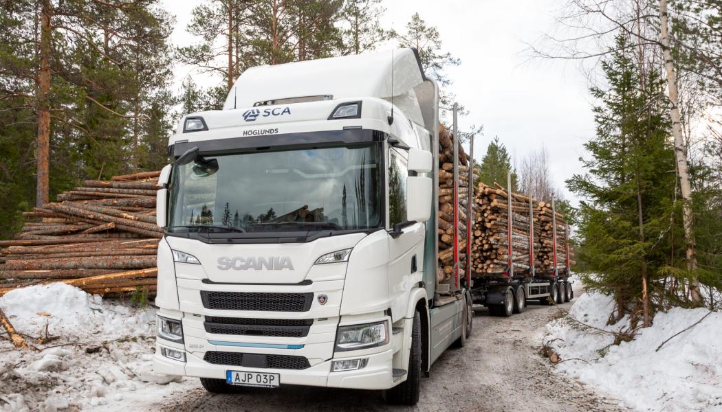 Foto: Henke Olofsson/SCA