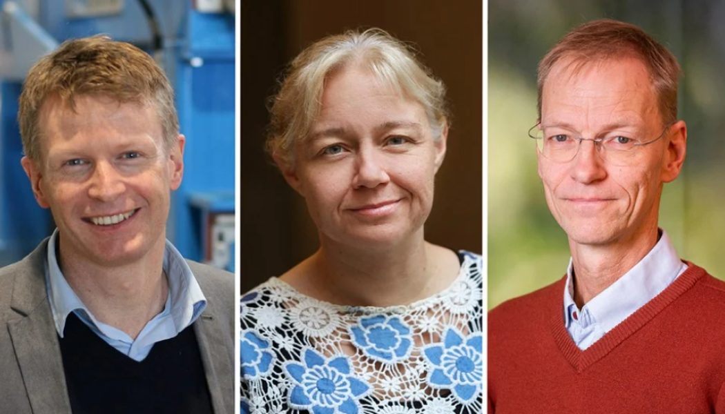 Claes Holmqvist, Marie Johansson och Magnus Thor. Foto: Skogsindustrierna 