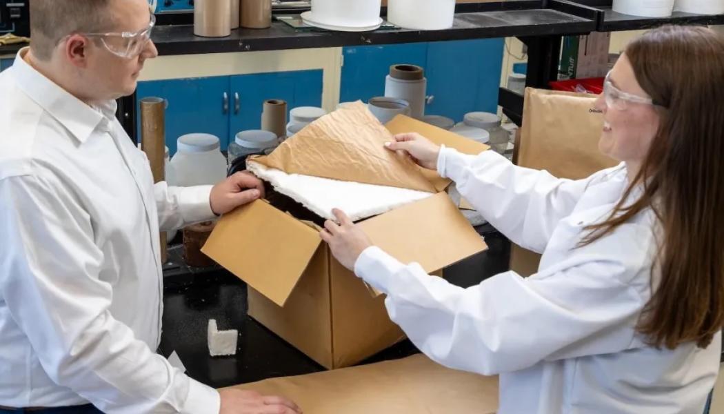 Henkels projekt med VTT syftar till att utveckla ett lätt, formbart och återvinningsbart skummaterial baserat på träfibrer. Foto: Henkel.