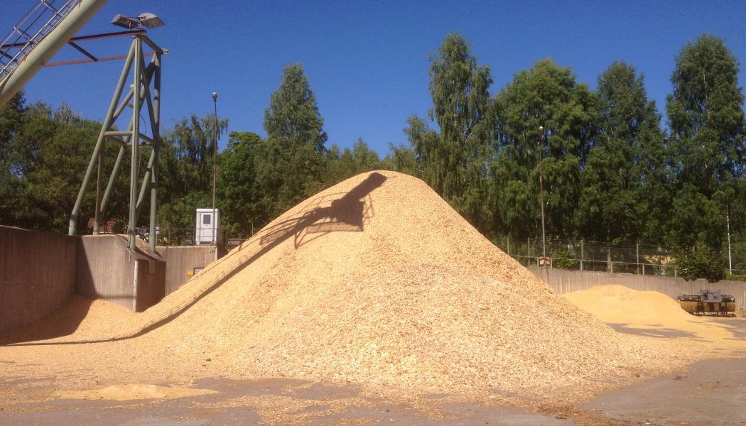 Råvaran består av restströmmar från sågverk, där färskt sågspån matas direkt in i processen. Foto: Simon Matthis