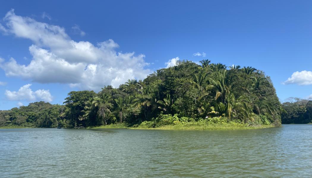 I Colombia pågår FN:s globala klimatmöte COP16, som handlar om att främja den biologiska mångfalden. Foto: Simon Matthis