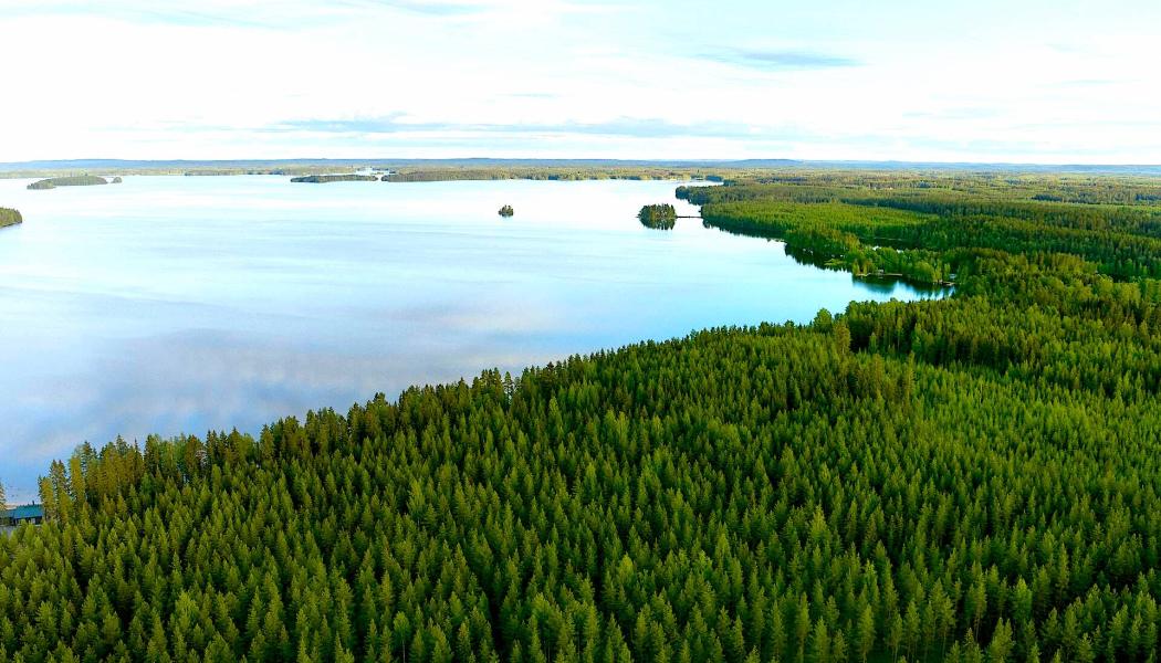 Foto: Metsä Board