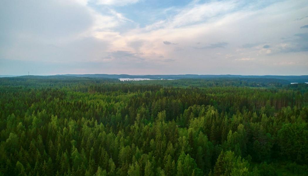 Foto: Metsä Board