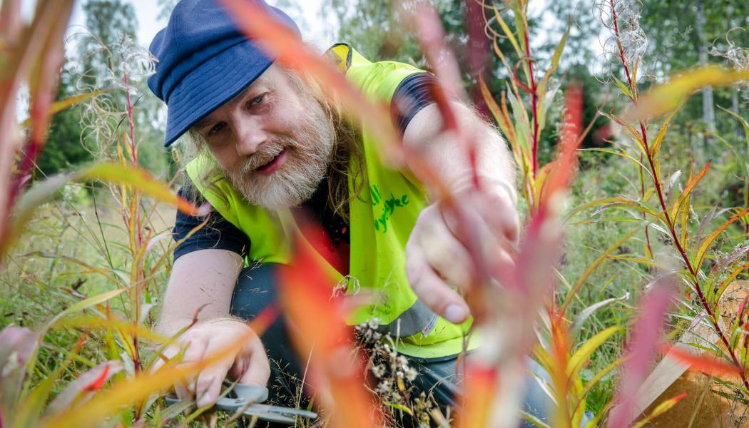 Foto: Metsä Group