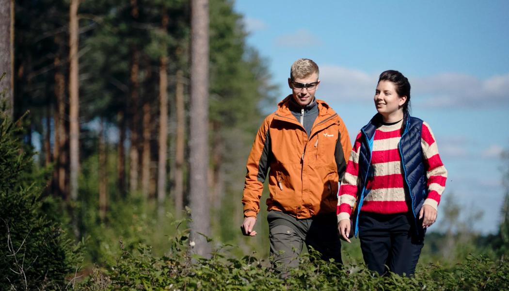 På grund av det förändrade klimatet står finländska skogsägare också inför något nytt. Man måste veta hur man investerar i att skydda den naturliga mångfalden. Foto: Metsä Group