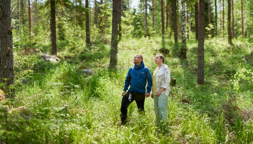 Foto: Nostokuvat/Metsä Group