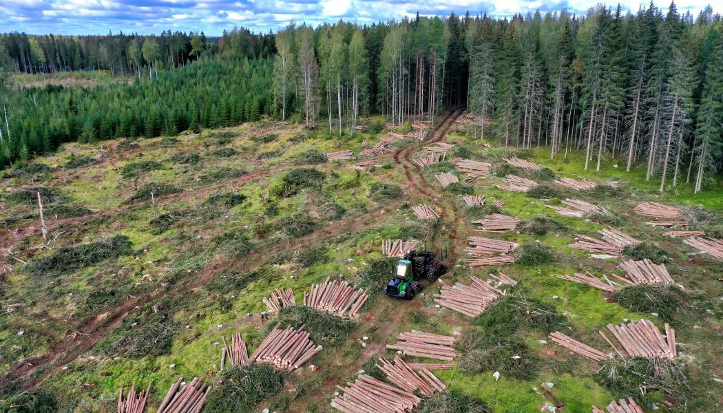 Rotpostintäkterna är en central del av den finländska skogsnäringens värdekedja, som direkt och indirekt sysselsätter omkring 80 000 personer. Foto: Creative Commons Lic. Kredit: Reijo Telaranta