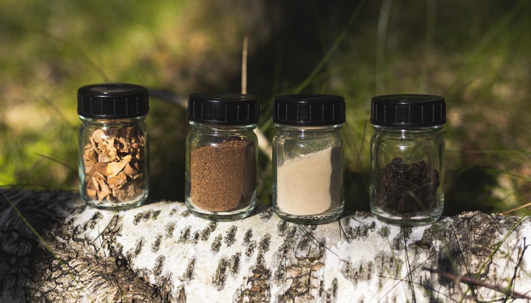 Björkbark är en högvolymrestprodukt från skogsbruket, enligt Reselo. Foto: Nokian Tyres