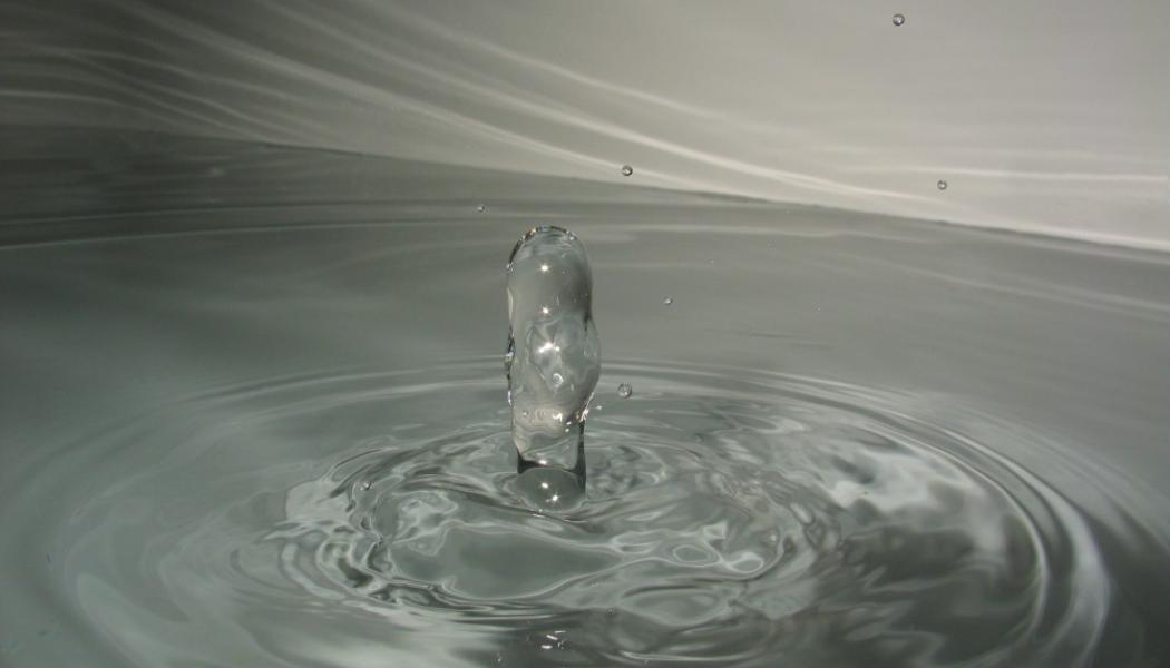 Foto: Robert M Classus