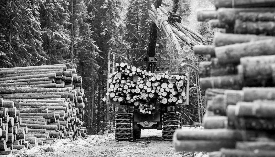 Foto: Norra Skog