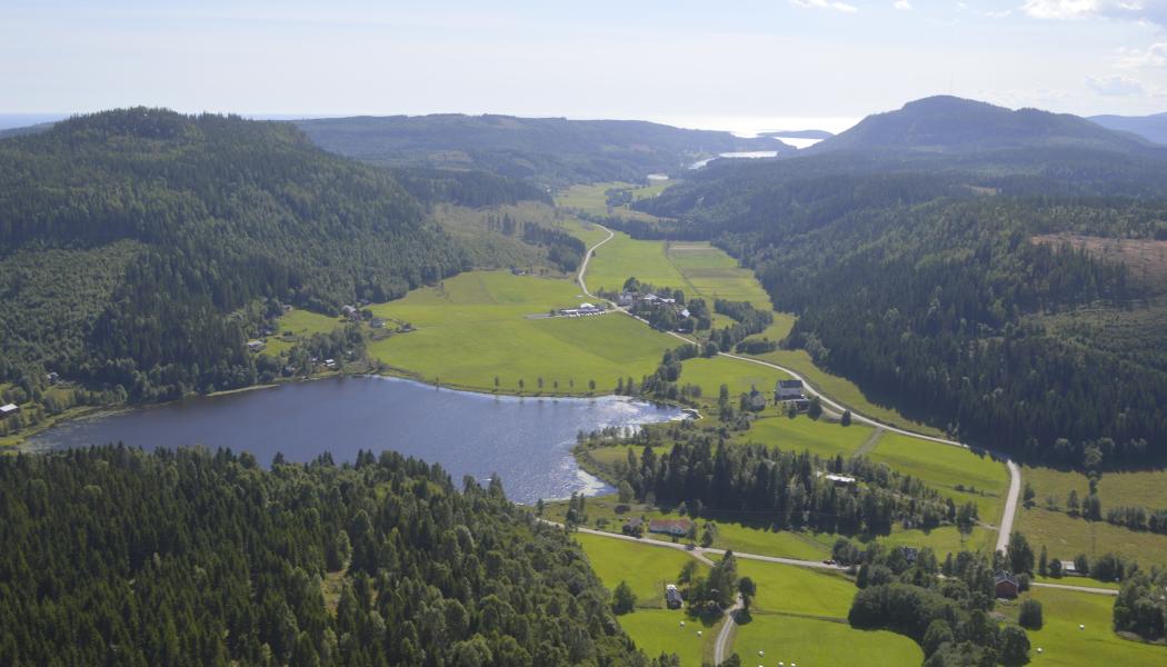 Hittills i år har avverkgningsanmälningarna minskat med 2 procent.