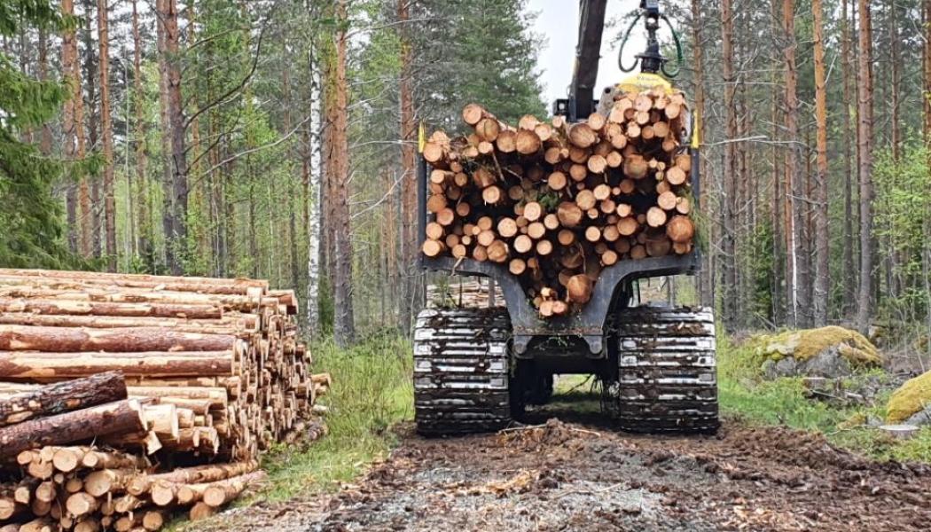 Skogsverkning i Finland, symbolbild. Foto: Metsätyö